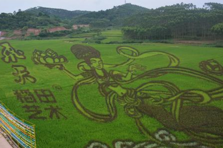 gdp宾阳县城_恭喜 宾阳位列2019年广西各县财政收入排行榜第五位(3)