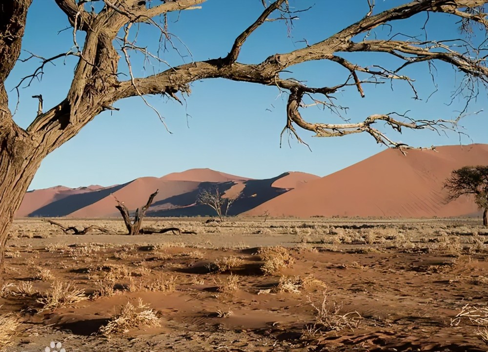甘肃省国家沙漠公园功能区划及分布