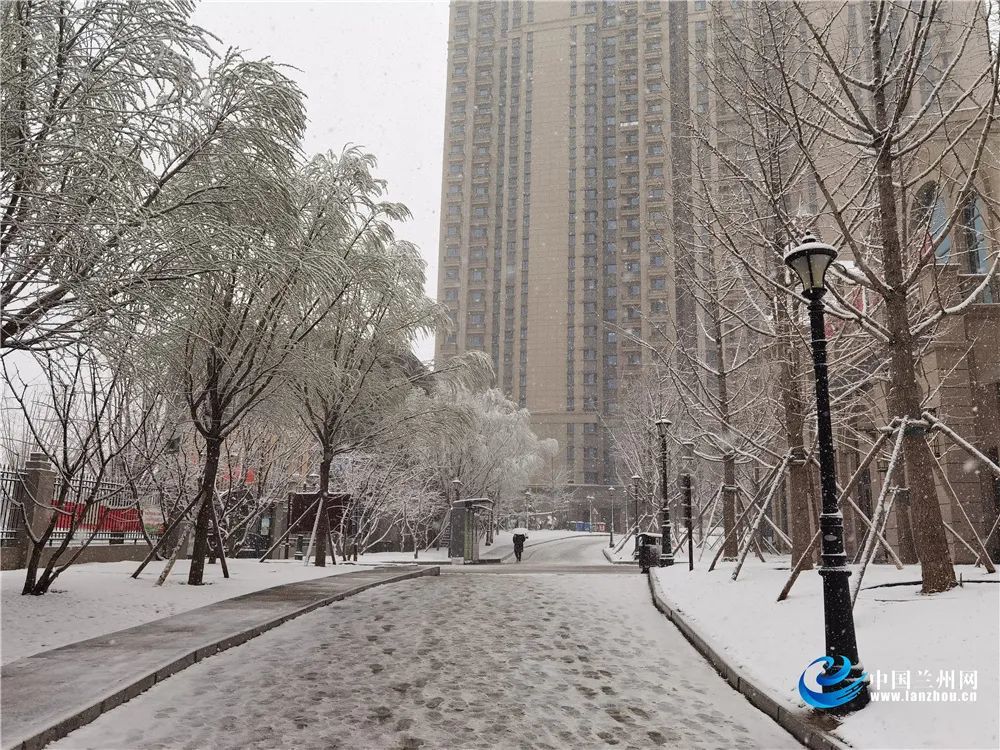 润物无声兰州雪景图上线了