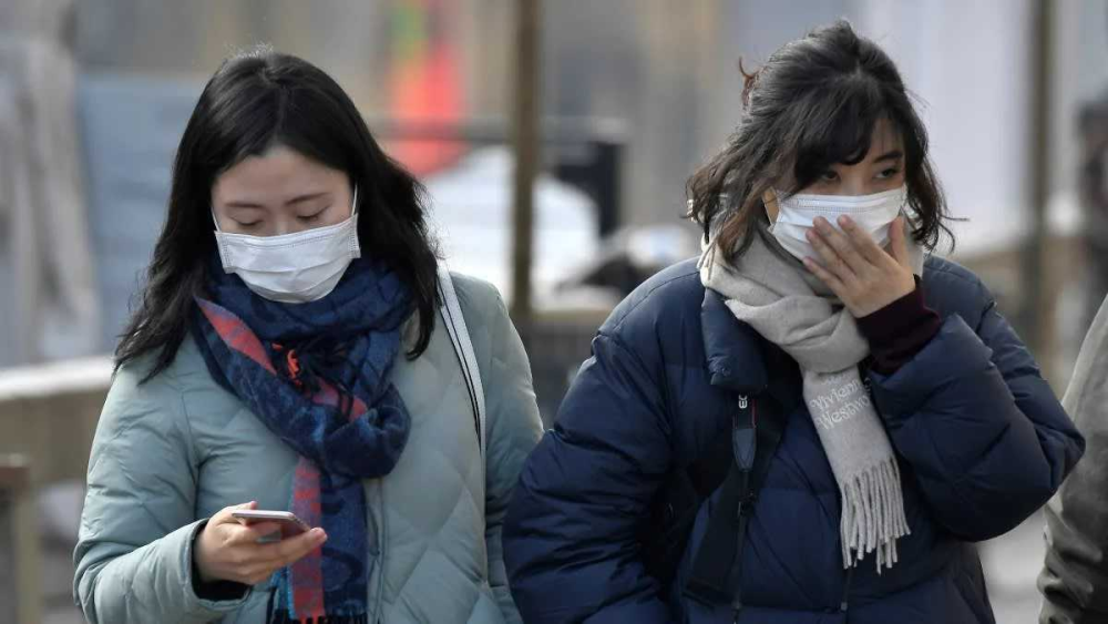 巴西华人口罩_巴西进pff口口罩图片(2)