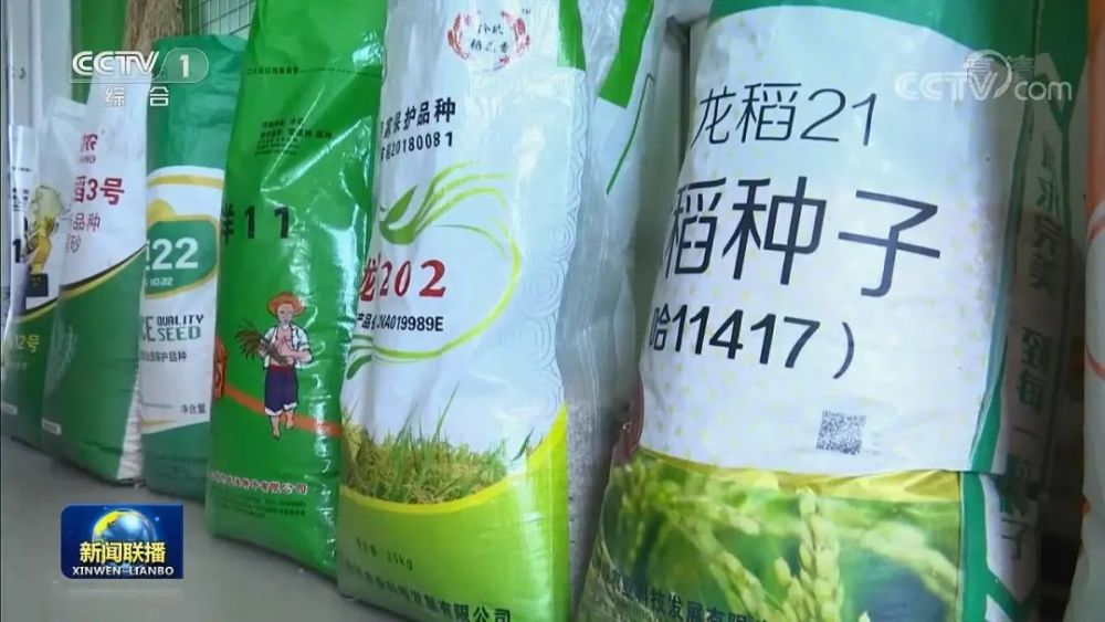 今年备春耕,龙粳31号,龙稻21号等自主创新粳稻品种再一次成为市场上的