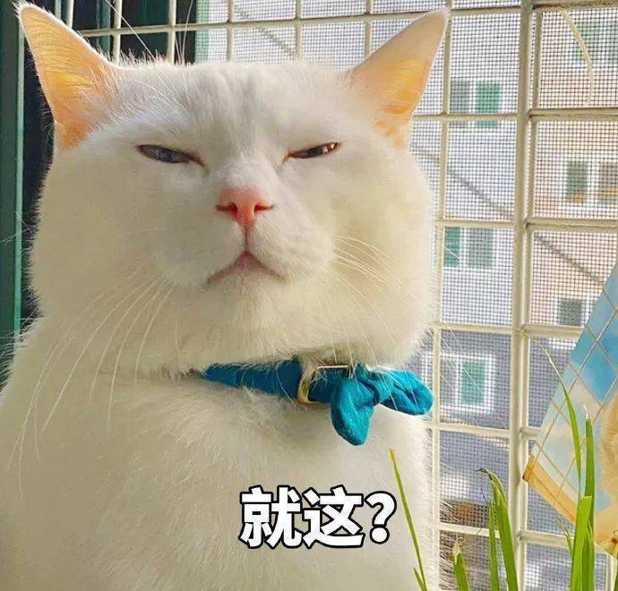 空间朋友圈沙雕文案配图二