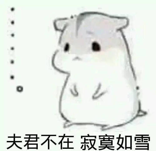 仓鼠表情包夫君不在寂寞如雪