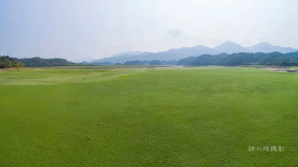 清流九龙湖草场,大自然馈赠的天然氧吧!