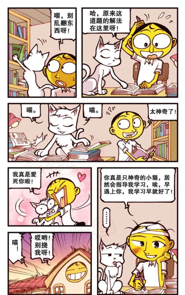 奋豆星太奇 我的宠物不可能那么萌 高茜变成了猫!