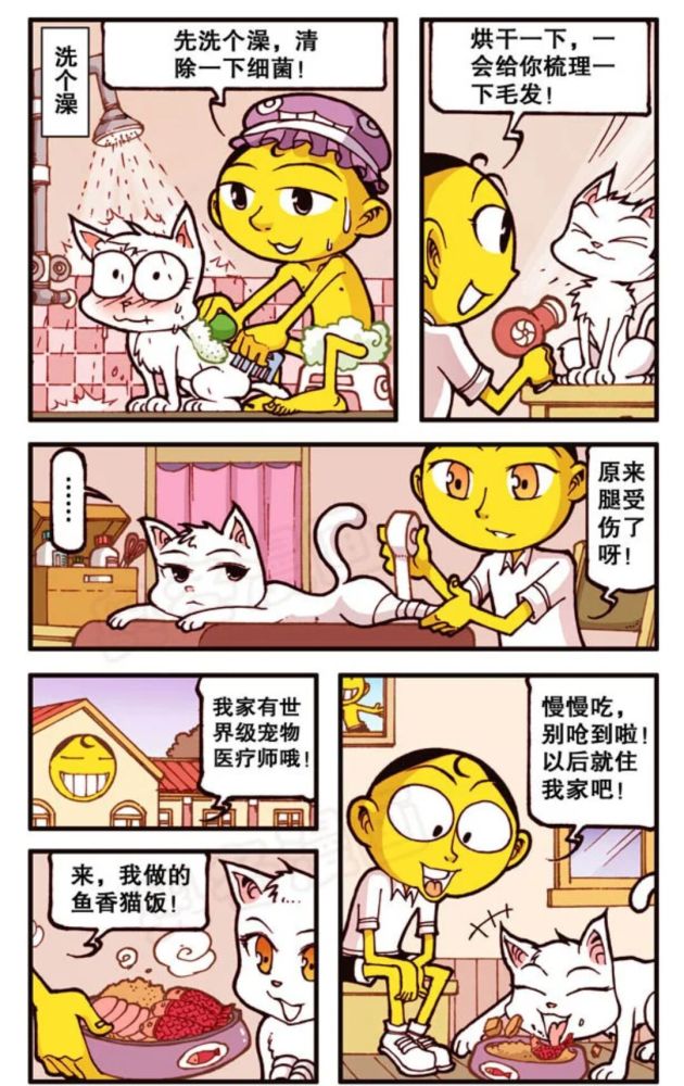 奋豆星太奇 我的宠物不可能那么萌 高茜变成了猫!