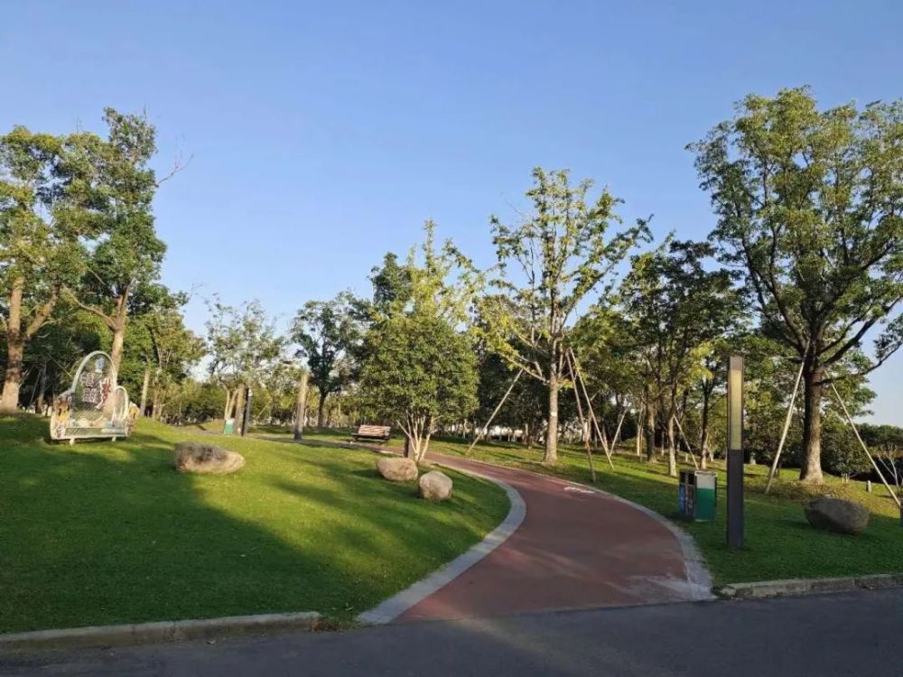 阿拉家门口新增的公园|松江这几座公园简约接地气