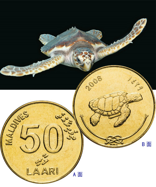 第025期 现行流通硬币(亚洲)之马尔代夫(maldives)