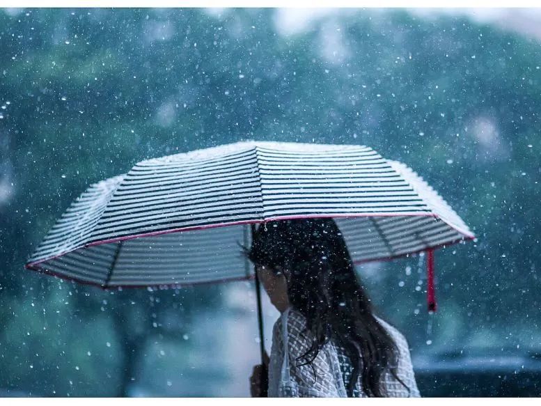 青梅煮酒|青衫烟雨客