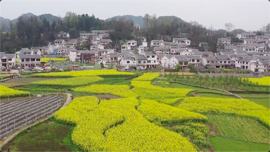 2021贵阳市人口_贵阳市地图(3)