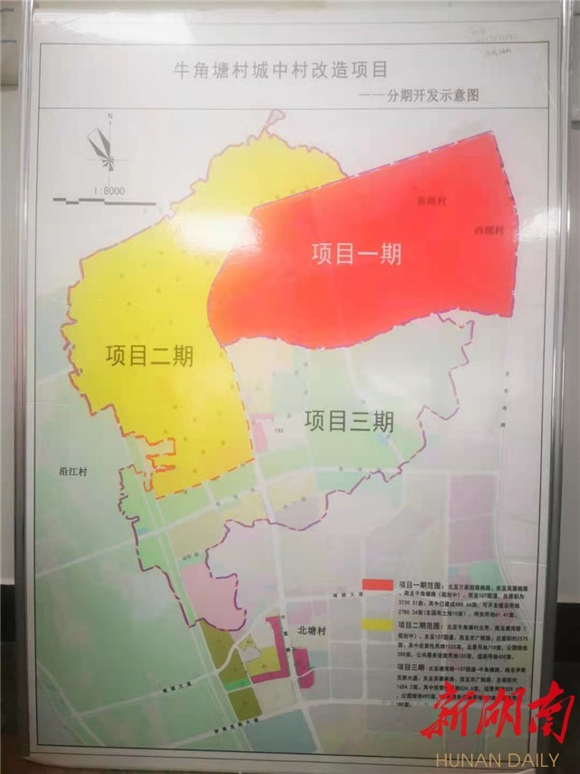 3月19日中午,放下碗筷,长沙市天心区南托街道党工委书记王钰莹就赶到