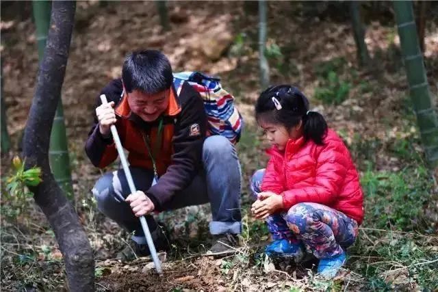 挖笋,食鲜,踏青!佘山兰笋文化节的玩法你get了吗?