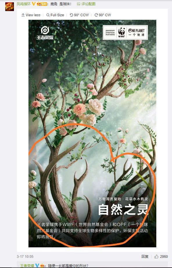 如何评价王者荣耀联名款瑶皮肤自然之灵及森海之灵