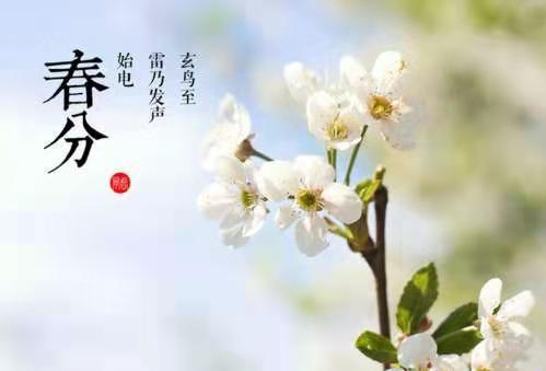 "春分"唯美如诗的温柔句子,春分醉人,你踏春而来,莫负