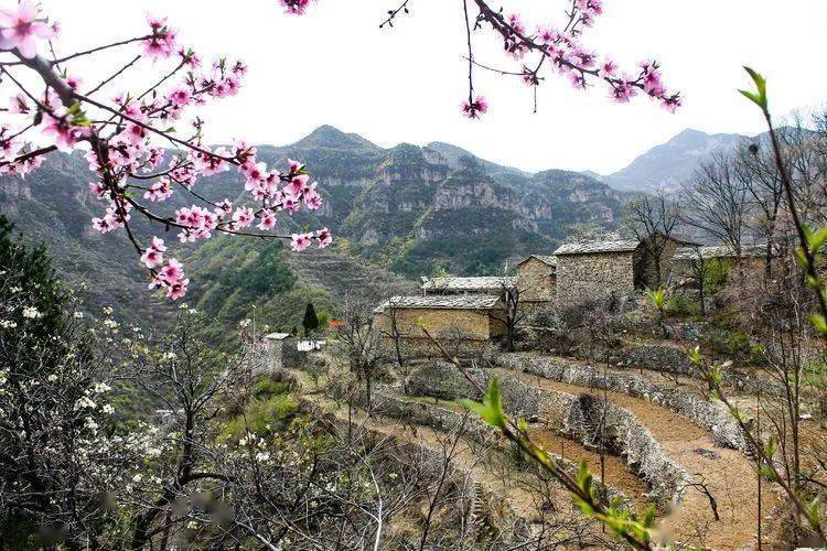 这里的春天,是平顺县的太行奇观,石头村--- 岳家寨,它好似天上和人间