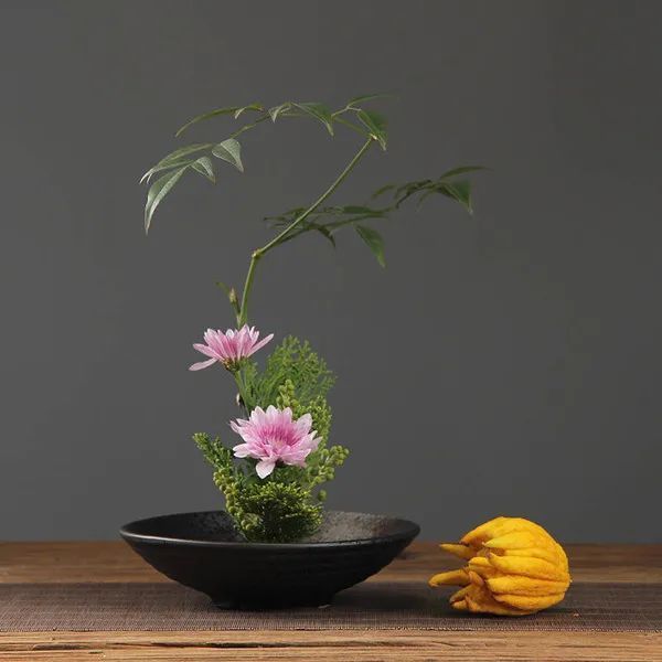 新手插花,了解基本功,重在怡情