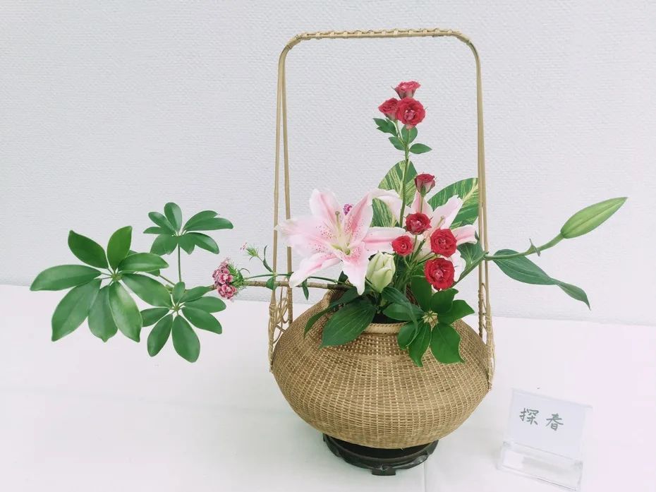 新手插花,了解基本功,重在怡情