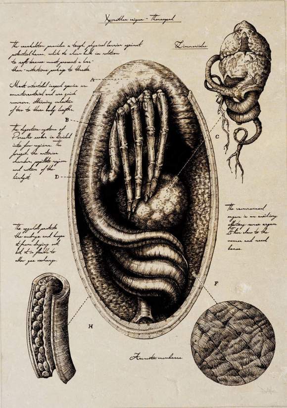 《异形》:大卫手稿,描述了一个恐怖而精彩的故事,异形的概念设计赏析