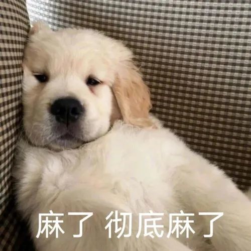 表情包感到压力