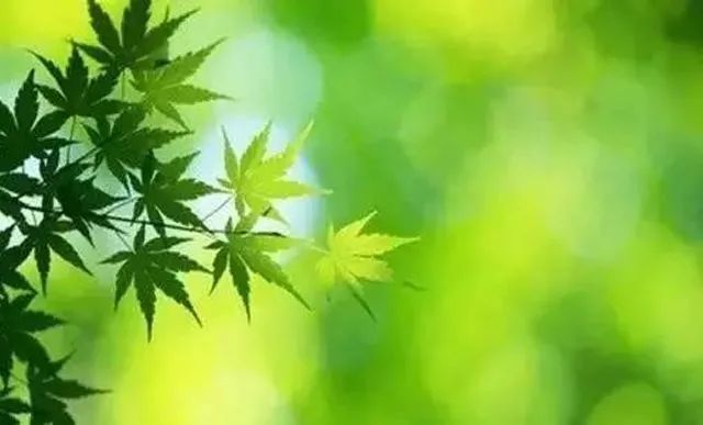 放下过去,让心清零