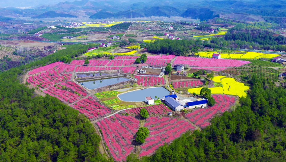 游览点:玉泉花海林桥蓝莓园关雎河畔生态旅游区 周边参观点:玉泉山