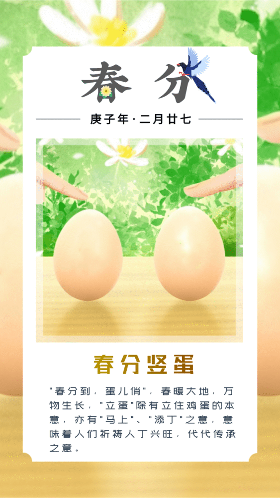 春耕忙,食春菜……攀枝花今日花式迎春分