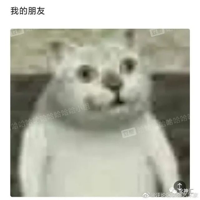 沙雕网友:连王嘉尔都惊了!哈哈哈哈哈哈