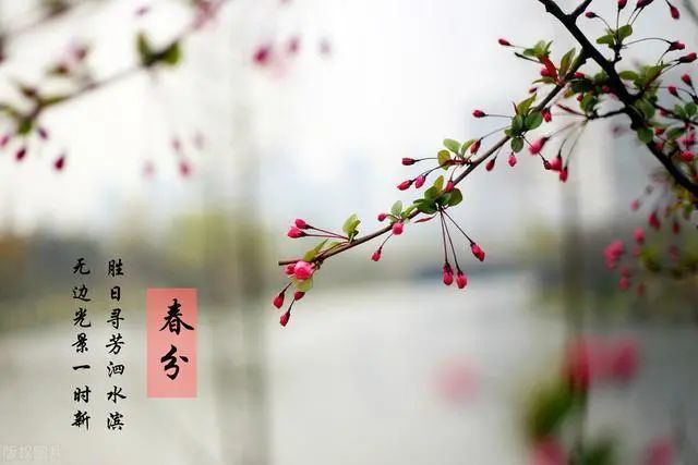 诗路花语|谭汝为:春分诗词名作12首导读
