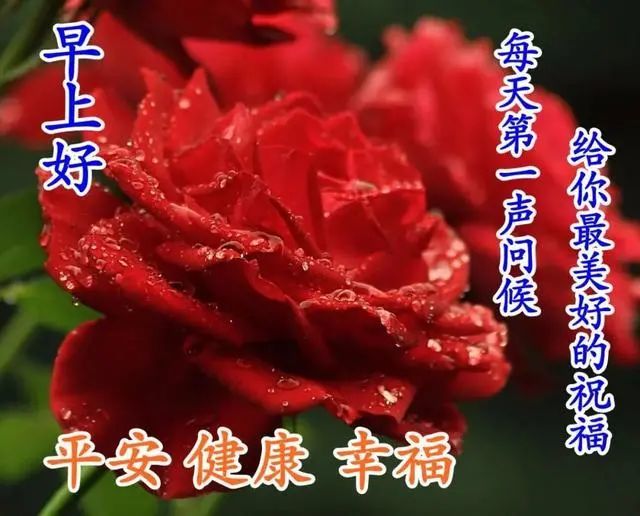 早上好朋友,清晨超暖心早安问候语图片表情带字,早安清晨短信问候祝福