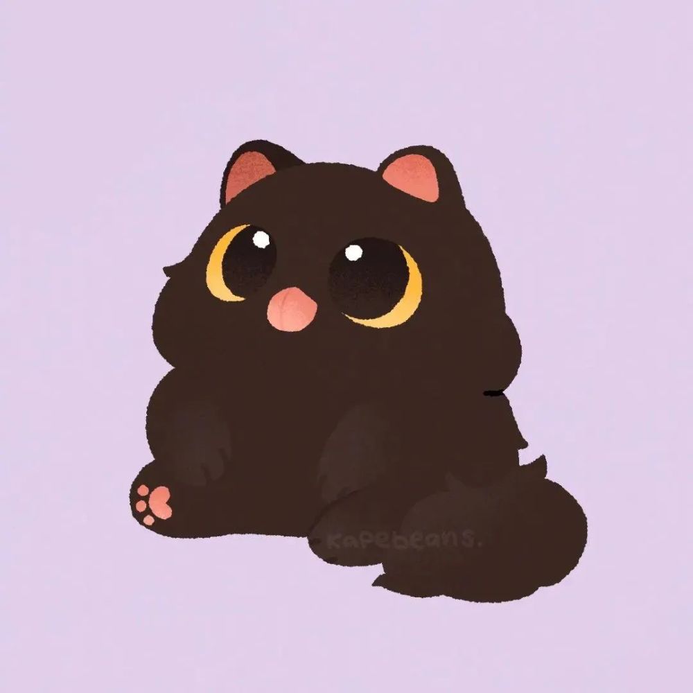 猫咪情头丨小众丨喵
