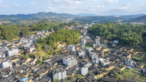 历史上,棠口村曾人才辈出的地方,素有"一村四举人"之称.