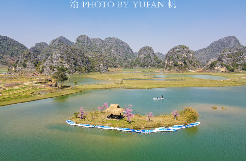 云南一个5a景区以假桃花吸引游客,游客却乐在其中,还表示真香