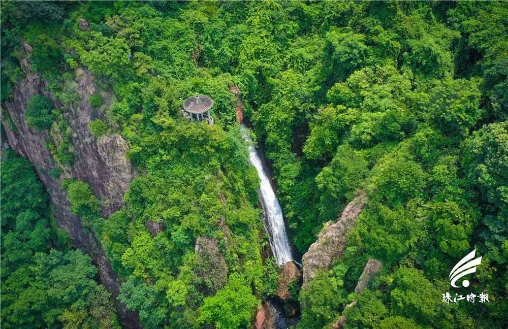 西樵山飞流千尺.珠江时报记者 章佳琳 摄
