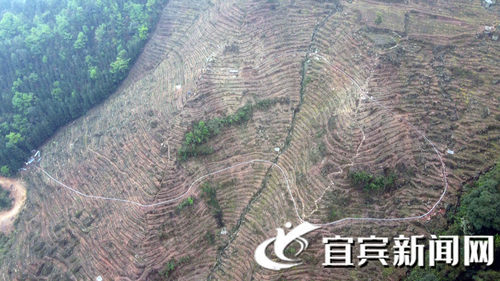 叙州区蕨溪镇gdp_叙州区蕨溪镇(2)