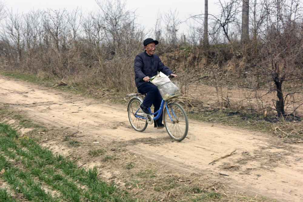 晋南农村9旬老人下地干挖菠菜骑自行车跨壕沟不输年轻人