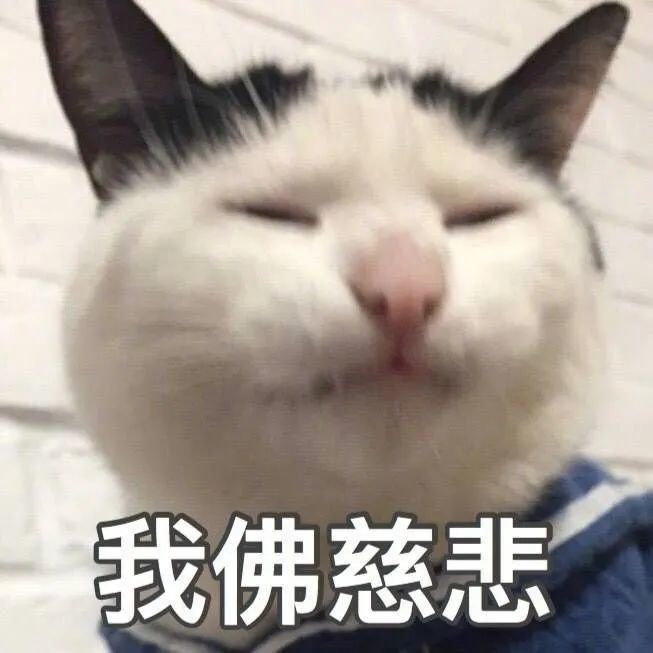 表情包:哥哥看看我吧
