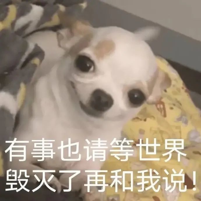 表情包有事请等宇宙毁灭再跟我说