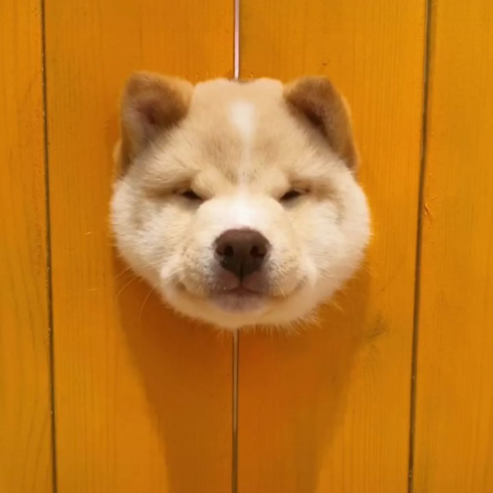 适合朋友组团开黑的五排头像