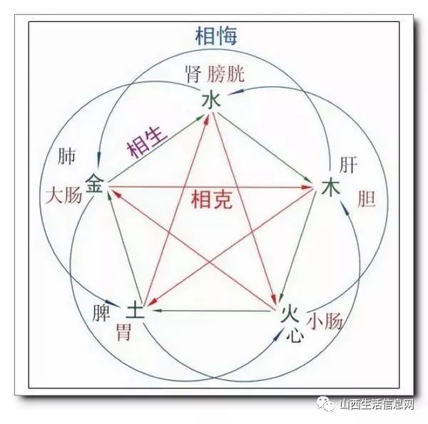 五脏之间的相克关系