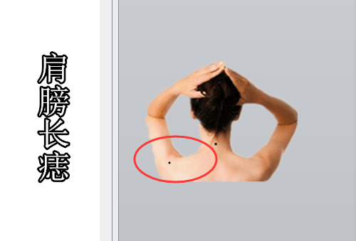 鼻子位于面部正中间的位置,主管一个人的财运与事业运势等,而鼻梁则