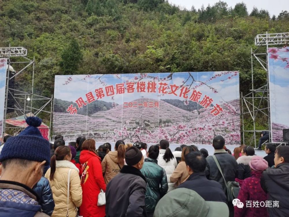 漫山遍野的桃花错落在白家坝村的各个山坡上,像洒落人间的霓裳羽衣.