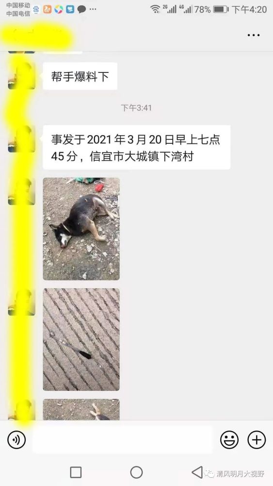 【全程曝光】茂名再现"偷狗贼",用毒针打狗