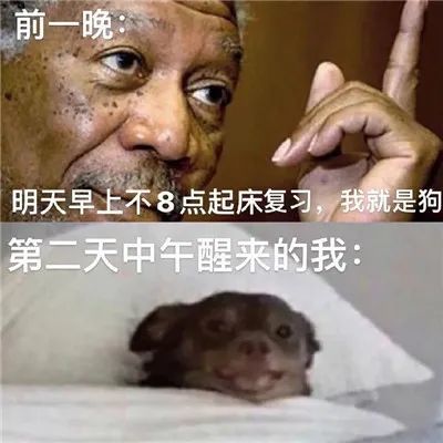 尝试努力学习第n天的你表情包,满脑子都是学习的表情包