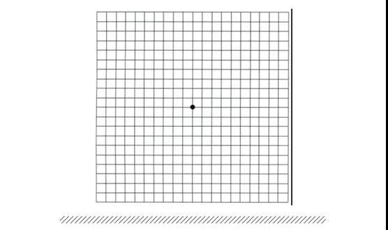 其实,想要知道自己的眼底有没有发生黄斑病变,可以通过阿姆斯勒方格表
