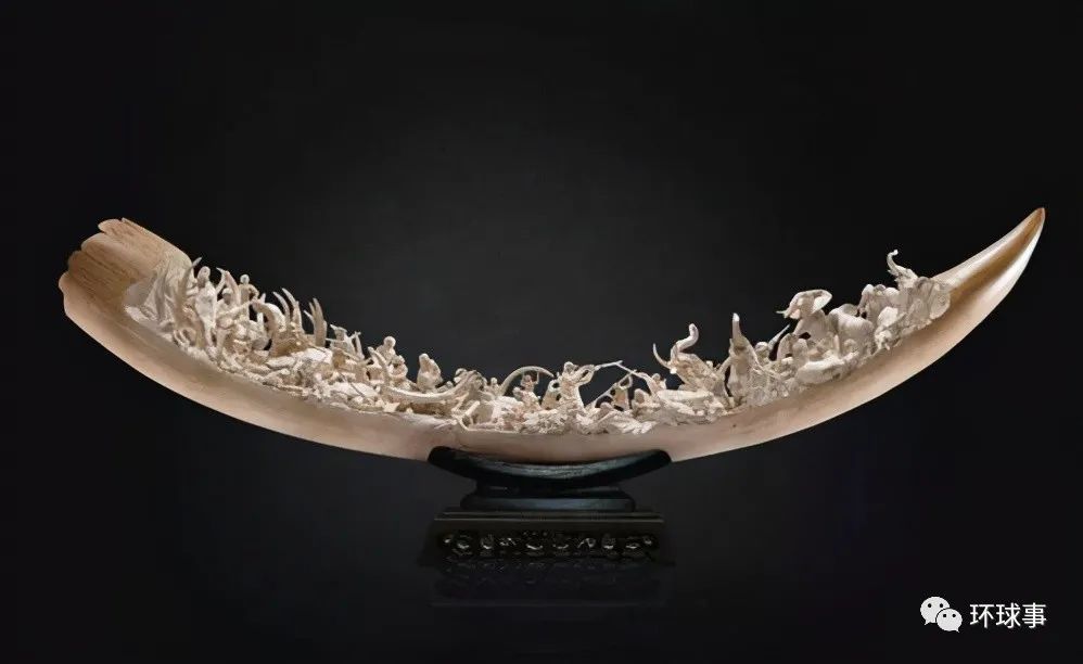 三星堆集中发现象牙超100根,这些象牙来自哪,又为何埋