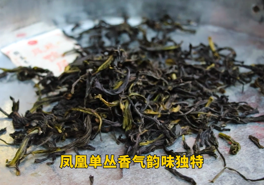 凤凰单丛茶区的特点
