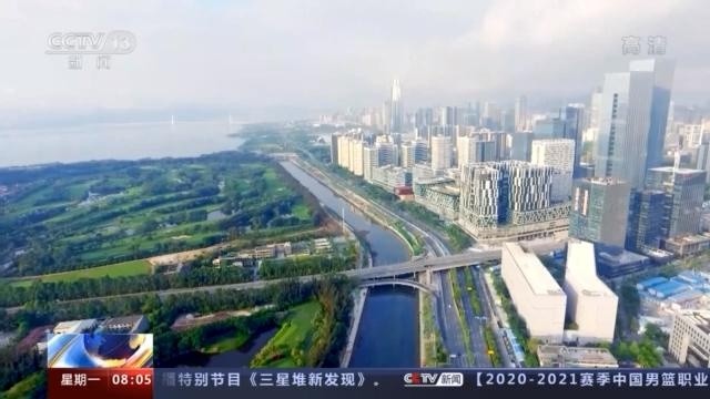 上海人口2019_上海人口图片(3)