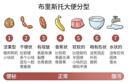 三天一次大便vs一天三次大便,哪个更严重?