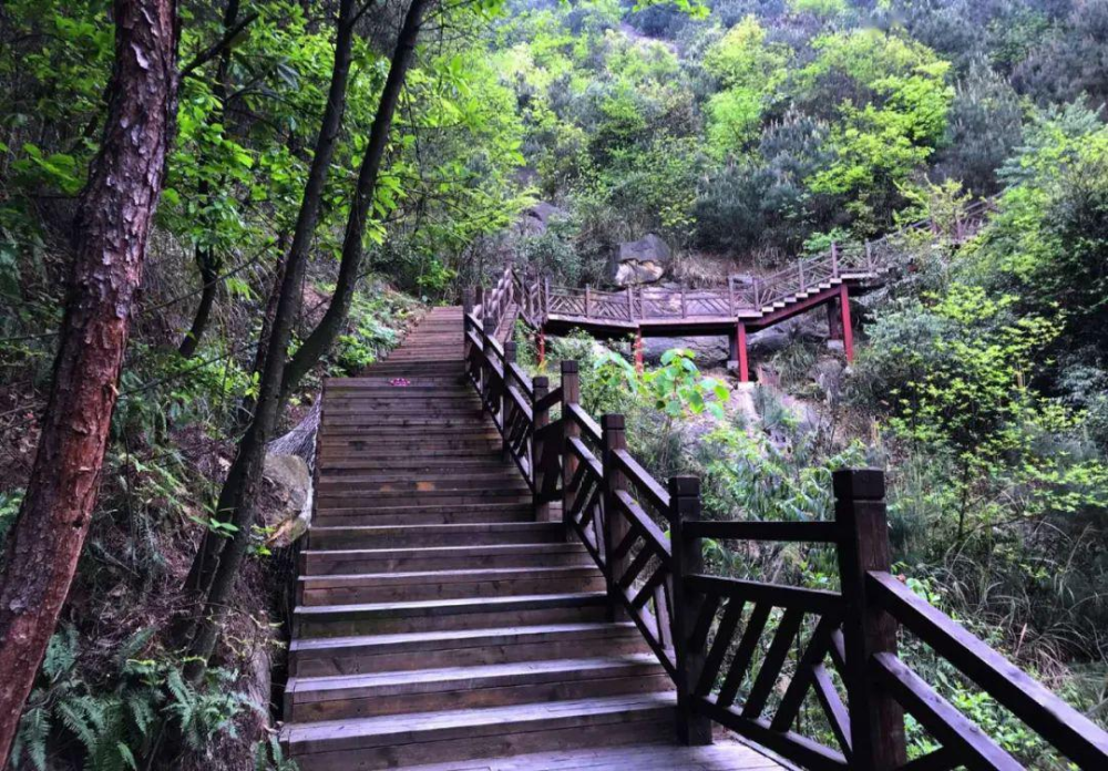 赛道沿途会经过铁山坪最美的山野风景,铜锣峡,龙门步道,临崖步道,花岛