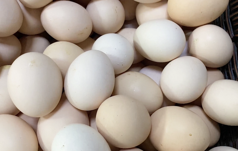 买鸡蛋时,要买白壳的还是红壳的?注意这4个点,就能买到好鸡蛋